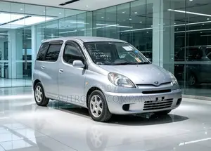 Toyota Fun Cargo 2001 Silver