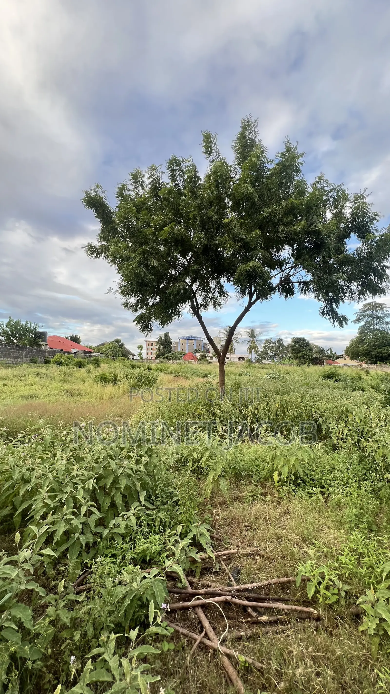 Plot for Sale