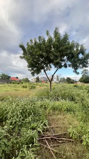 Plot for Sale