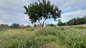 Plot for Sale