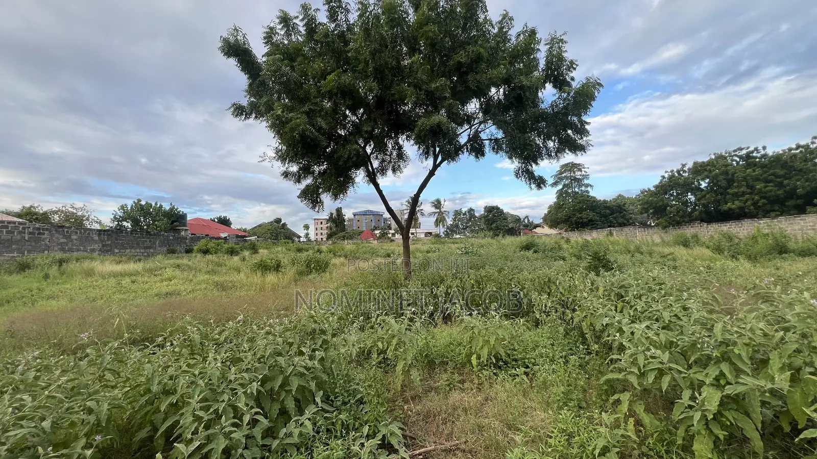 Plot for Sale