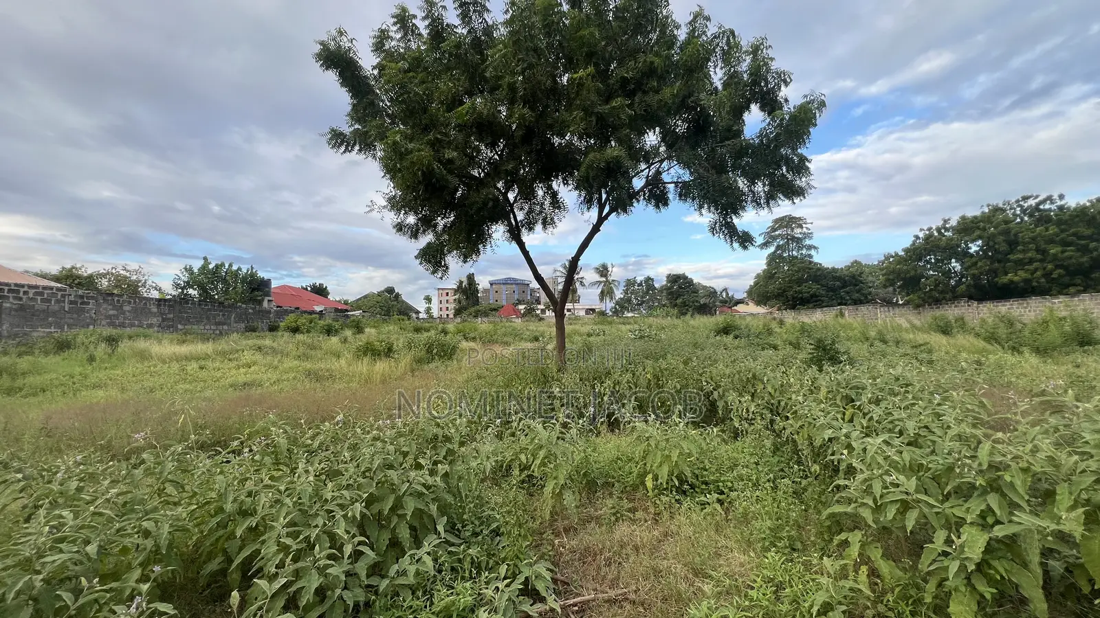 Plot for Sale