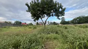 Plot for Sale