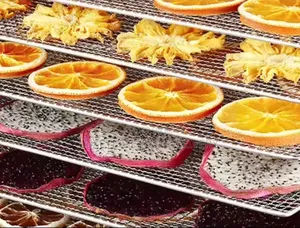 24 Layers Commercial Food Dehydrator | Fruit, Vegetable Dryer Machine