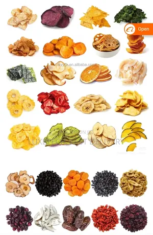 24 Layers Commercial Food Dehydrator | Fruit, Vegetable Dryer Machine