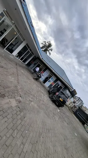 Frem and House 2gether It Look at Tarmac at Kijitonyama