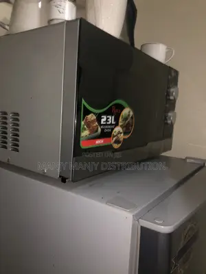 Roch Microwave Oven