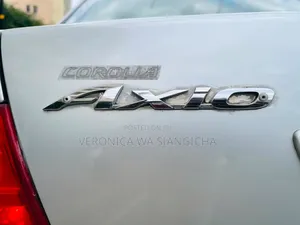 Toyota Axio 2009 Silver
