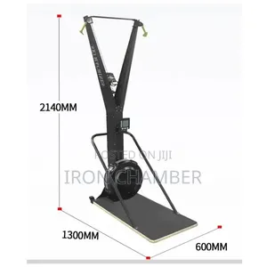 Ski Machine Pro (Skierg).