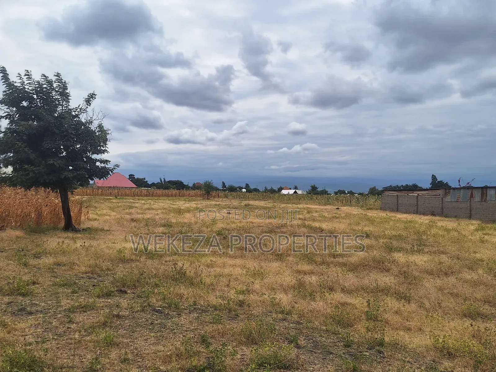 Plot for Sale