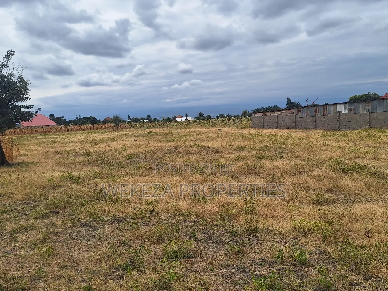 Plot for Sale