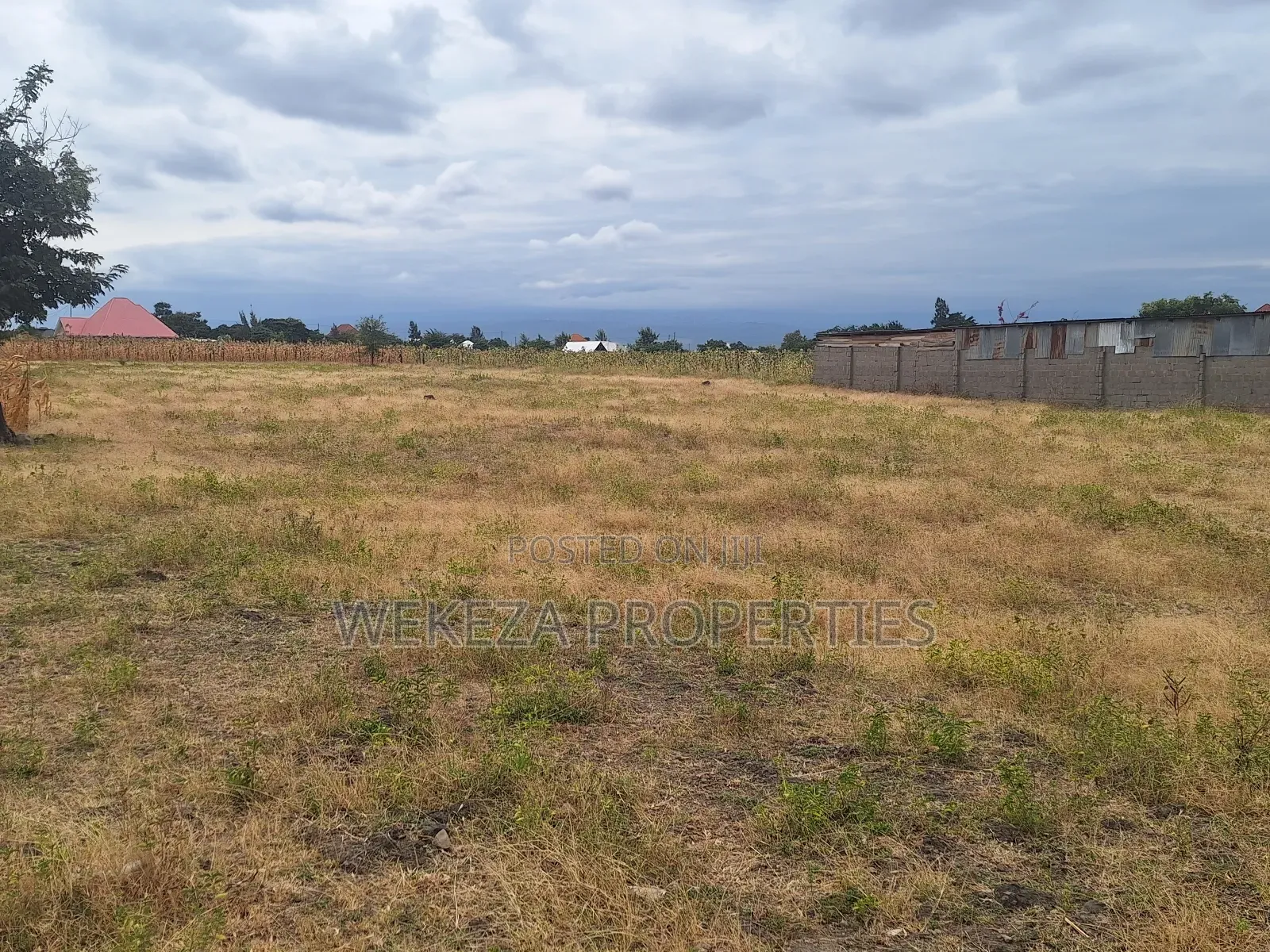 Plot for Sale
