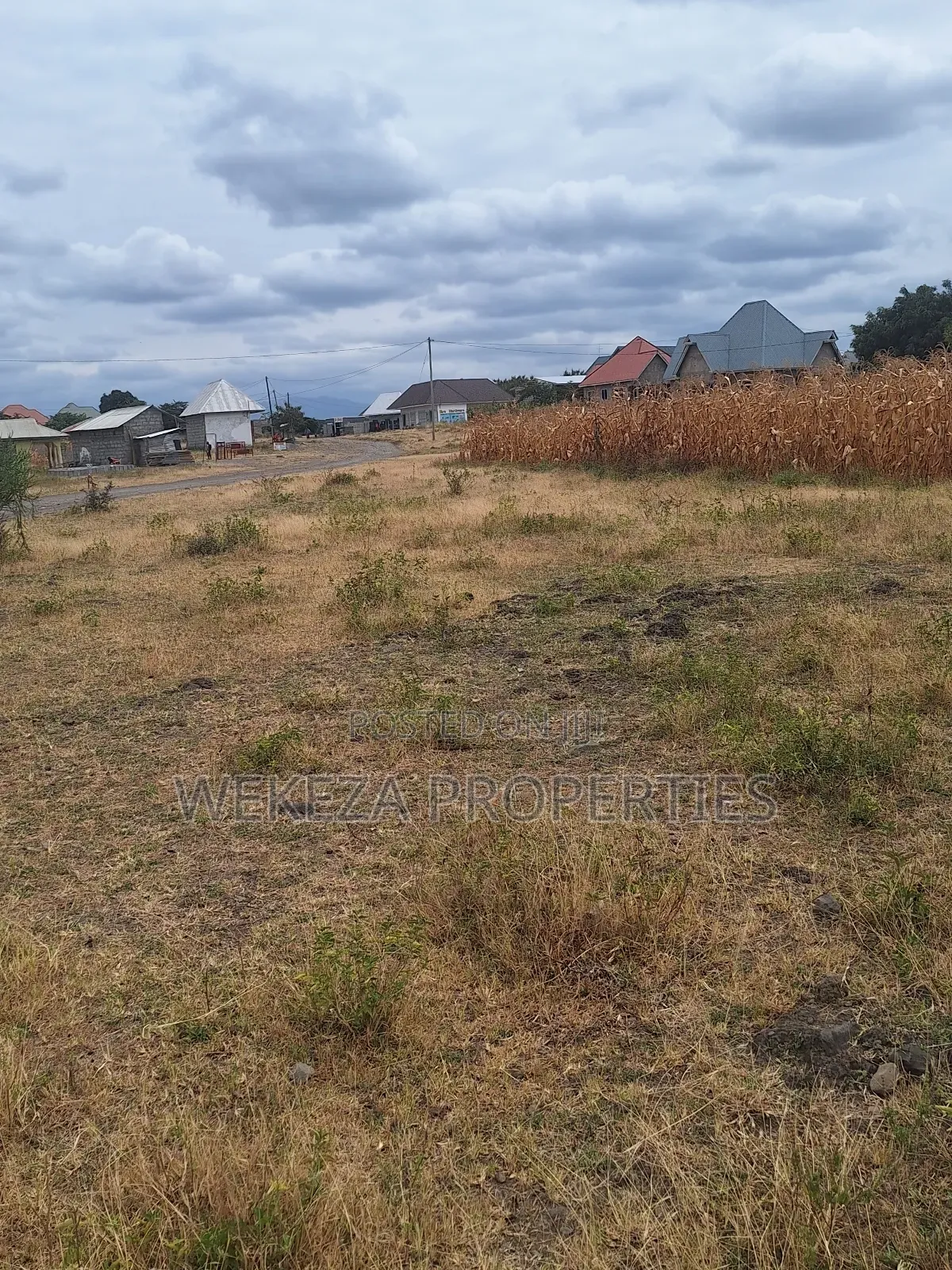 Plot for Sale