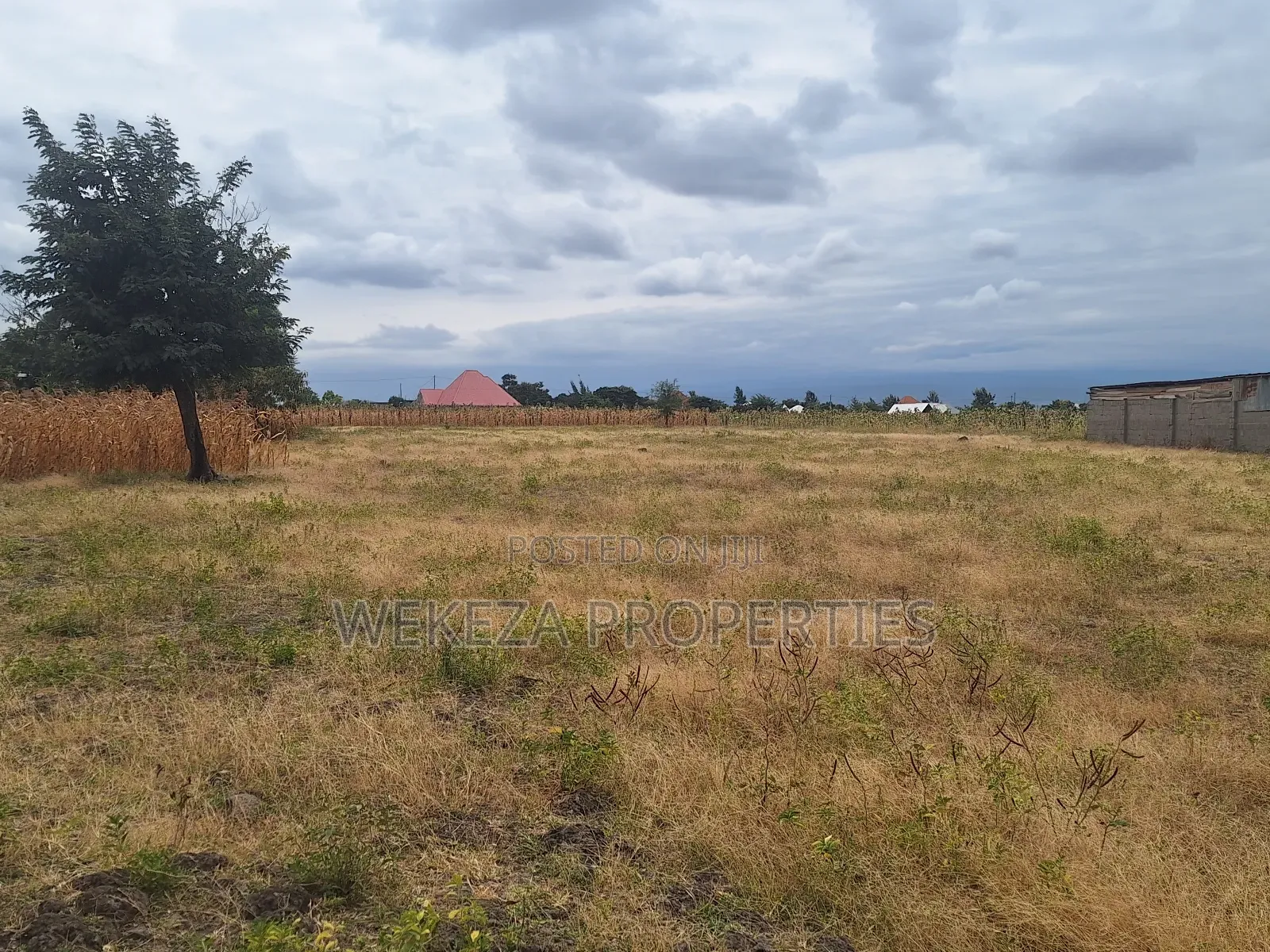 Plot for Sale
