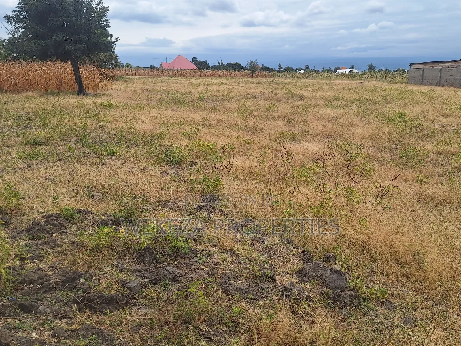 Plot for Sale