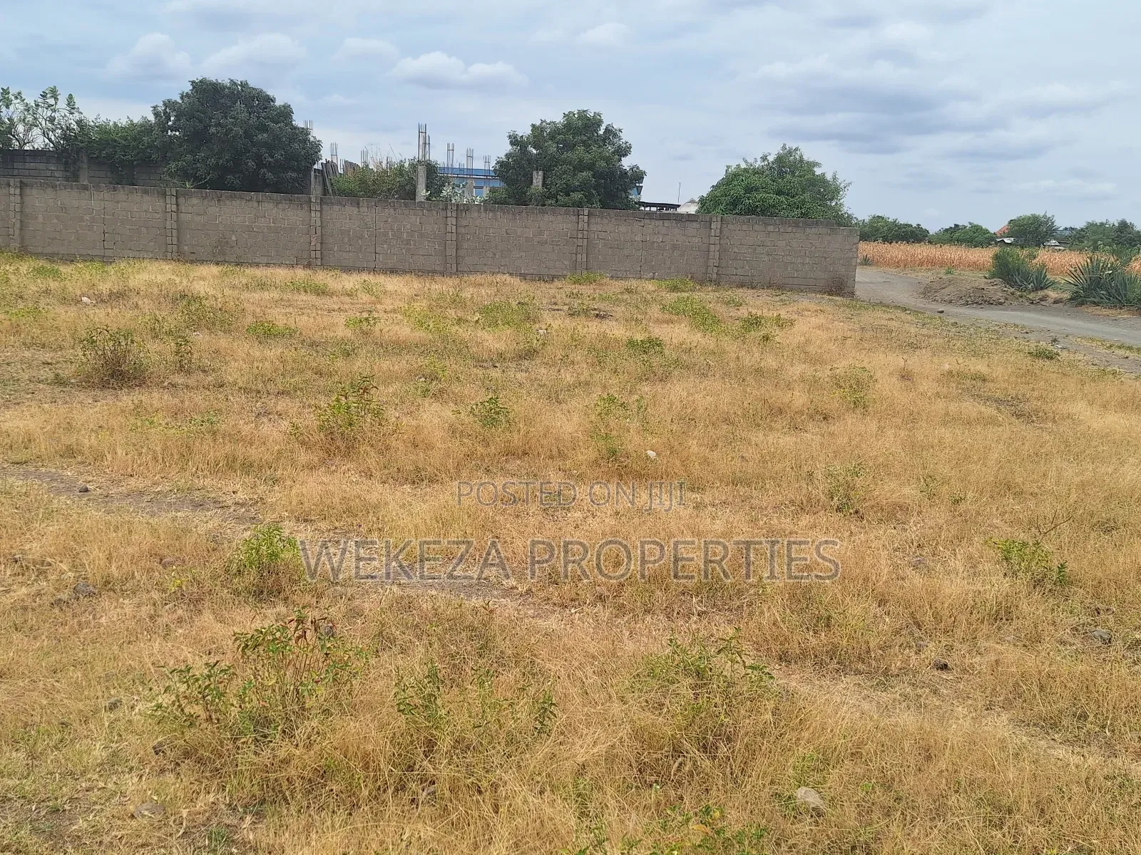Plot for Sale