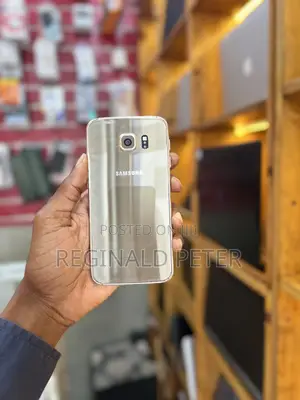 Samsung Galaxy S6 32 GB Silver