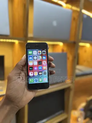 Apple iPhone 5s 16 GB Silver