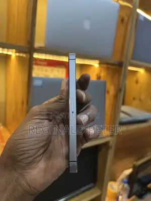 Apple iPhone 5s 16 GB Silver