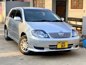 Toyota Allex 2001 Silver