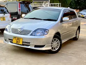 Toyota Allex 2001 Silver