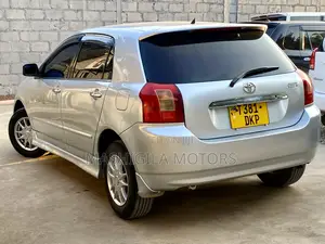 Toyota Allex 2001 Silver