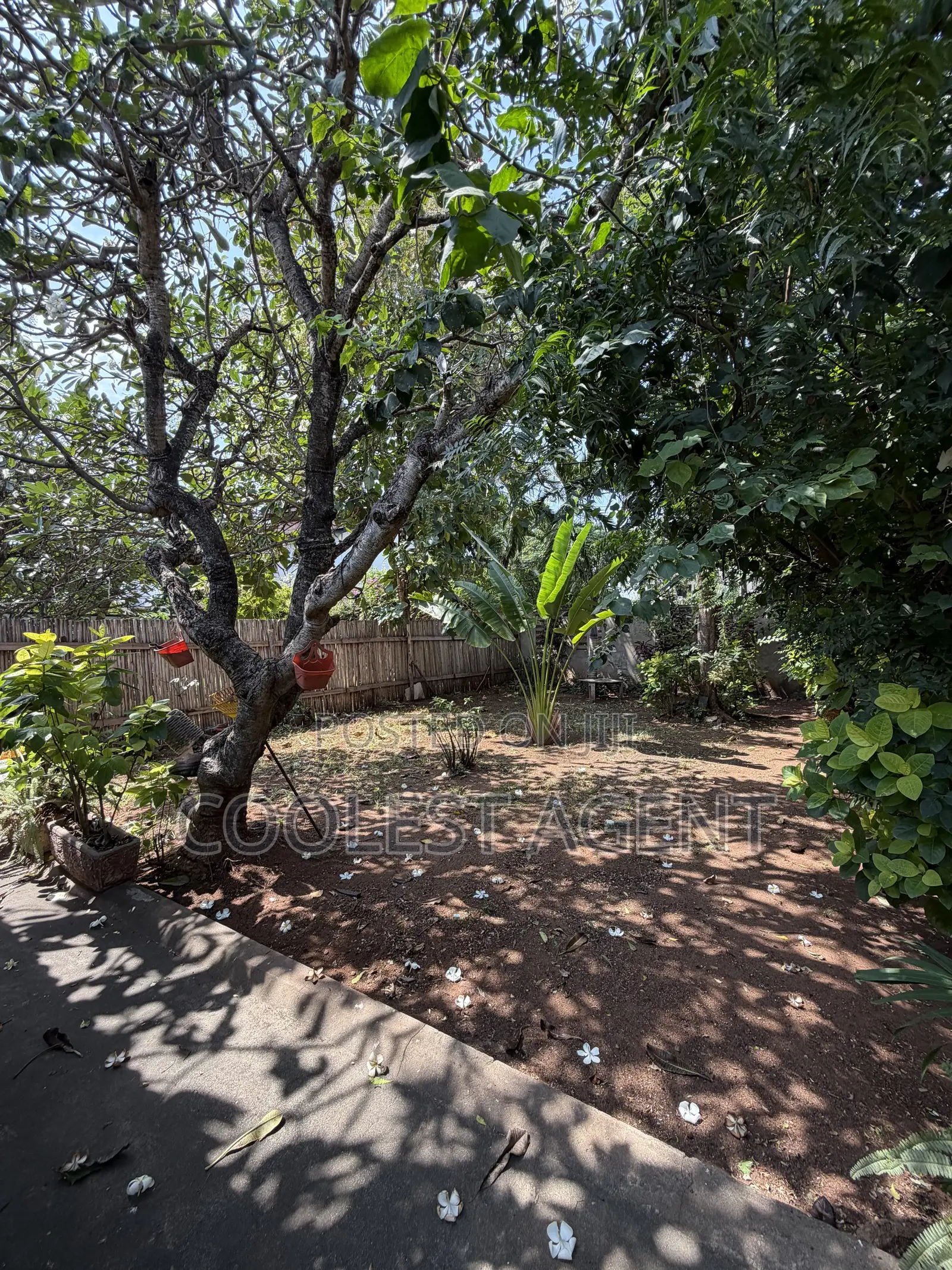 2bdrm House in Coolest Estate, Masaki for rent