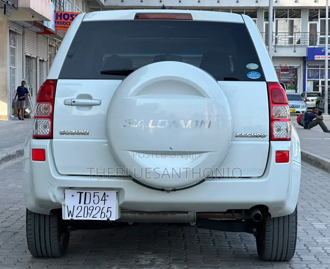 Suzuki Escudo 2008 White