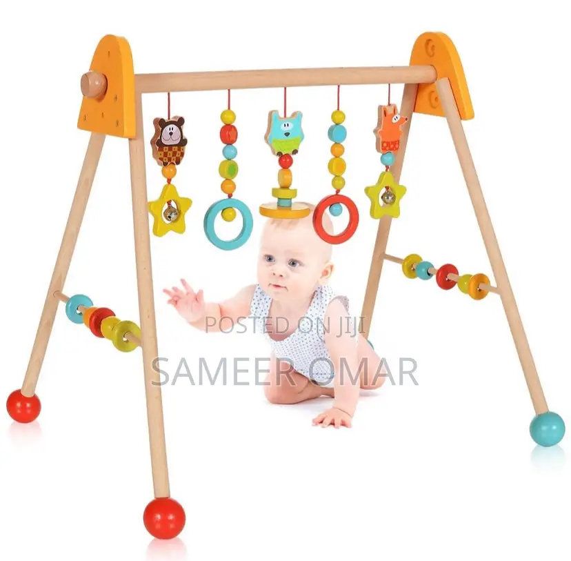 Children Wooden Play Gym