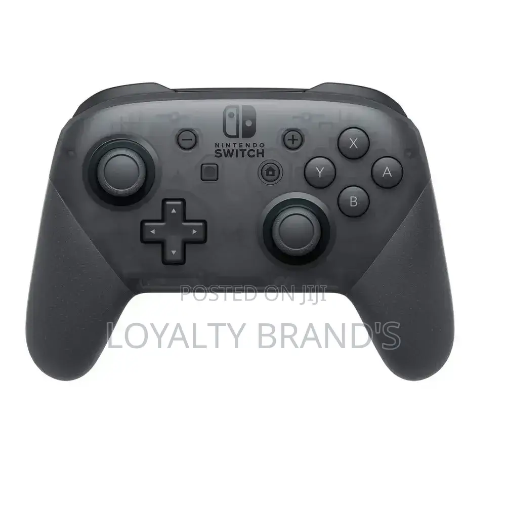 Nintendo Pro Controller
