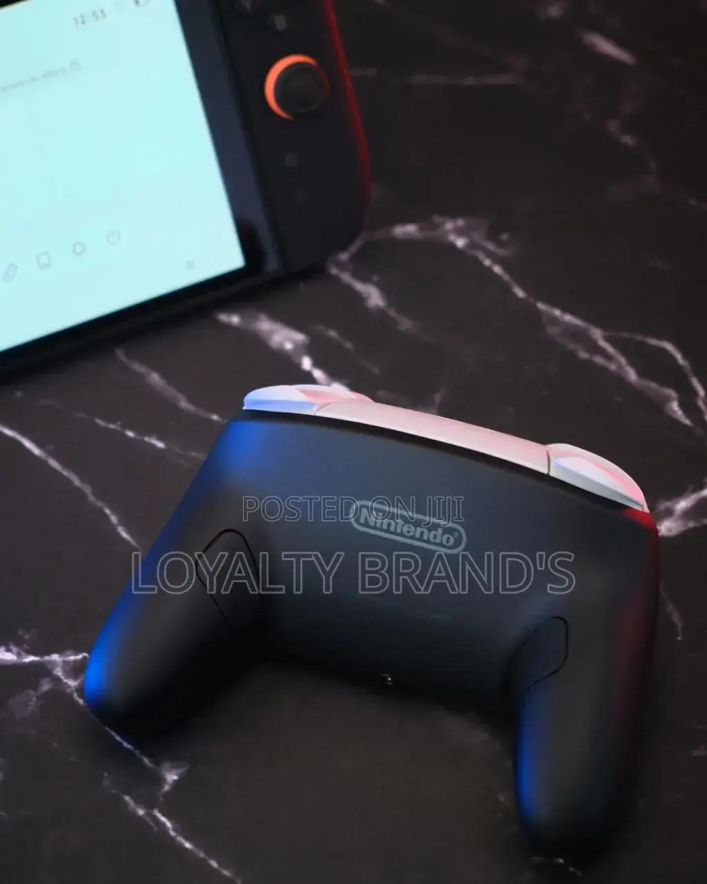 Nintendo Pro Controller