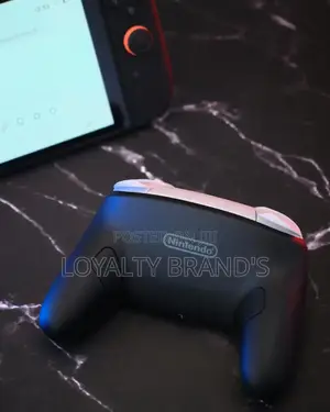 Nintendo Pro Controller
