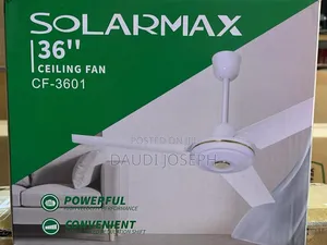 Solar Max Fan