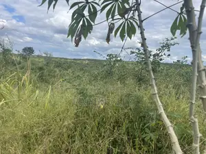 Shamba Linauzwa Miono Hekari 200