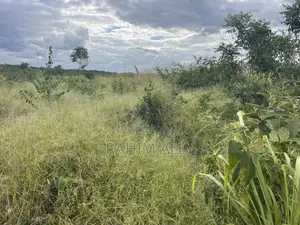 Shamba Linauzwa Miono Hekari 200