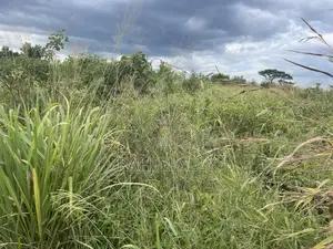 Shamba Linauzwa Miono Hekari 200