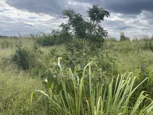 Shamba Linauzwa Miono Hekari 200