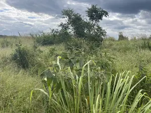 Shamba Linauzwa Miono Hekari 200