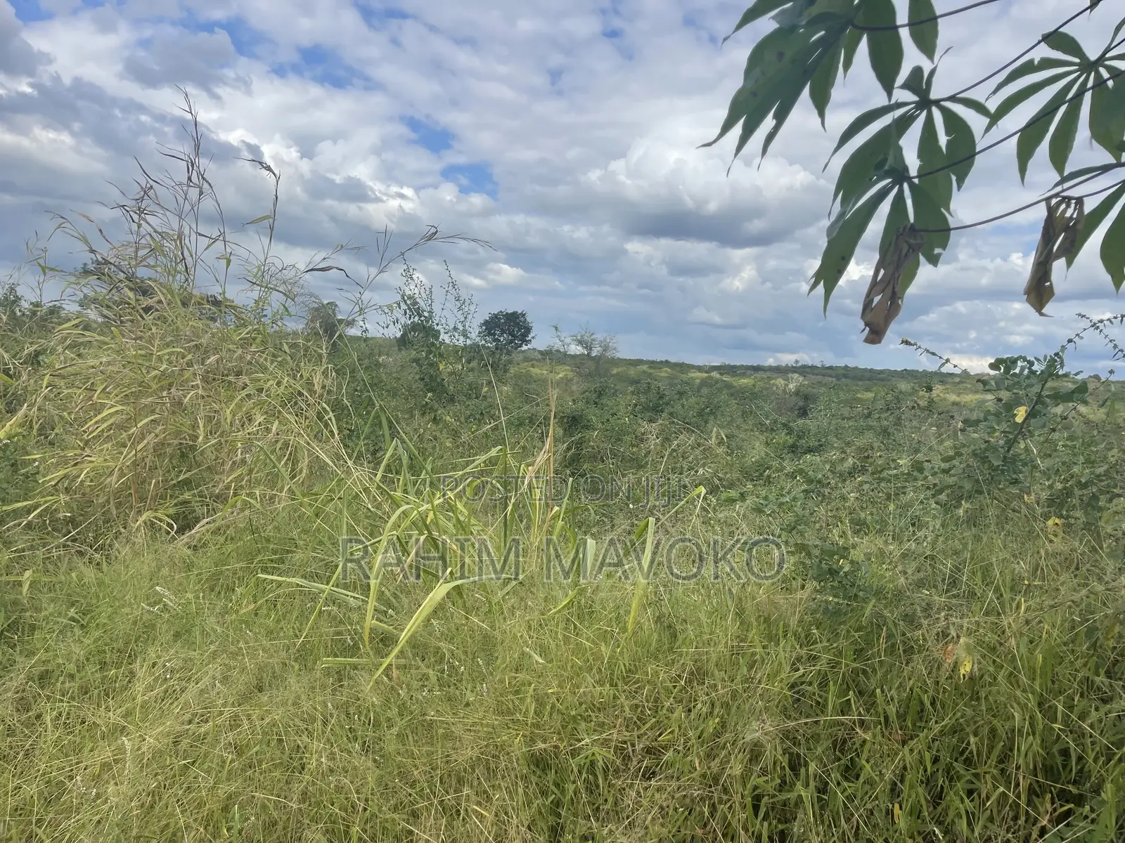 Shamba Linauzwa Miono Hekari 200