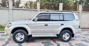 Toyota Land Cruiser Prado 1999 Gray