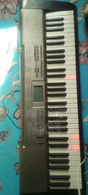 Casiolk120 Electric Lighting Piano