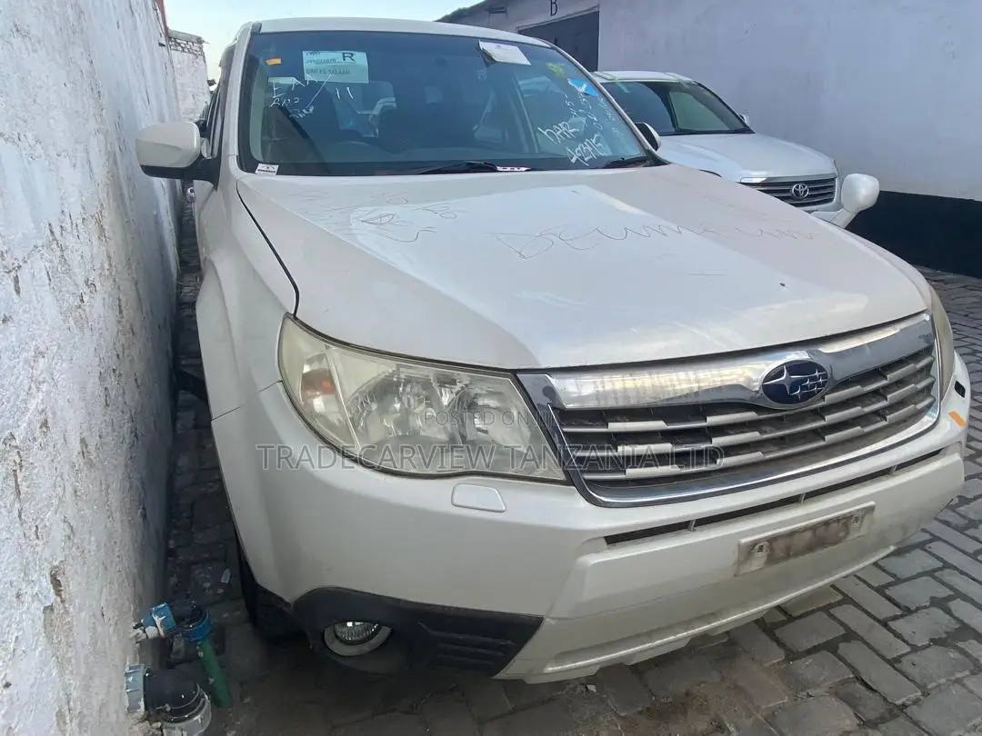 Subaru Forester 2009 Pearl