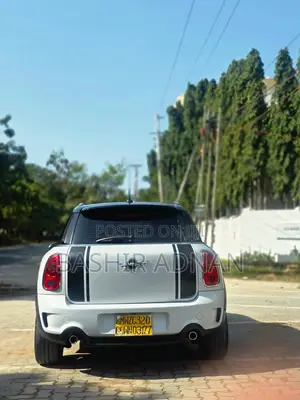 Mini Countryman 2013 White
