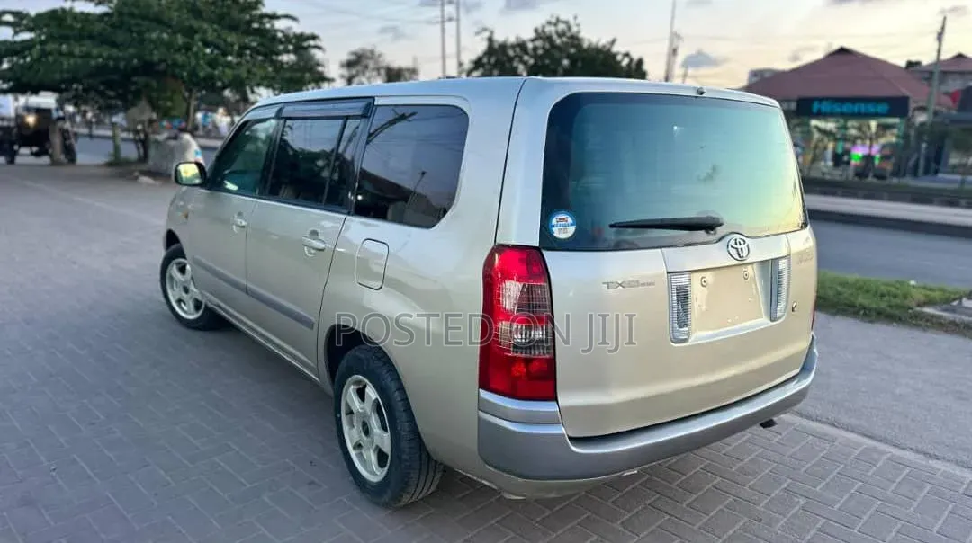 Toyota Succeed 2006 Silver