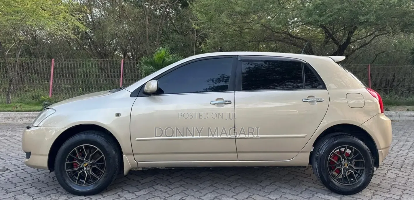 Toyota Allex 2005 Gold