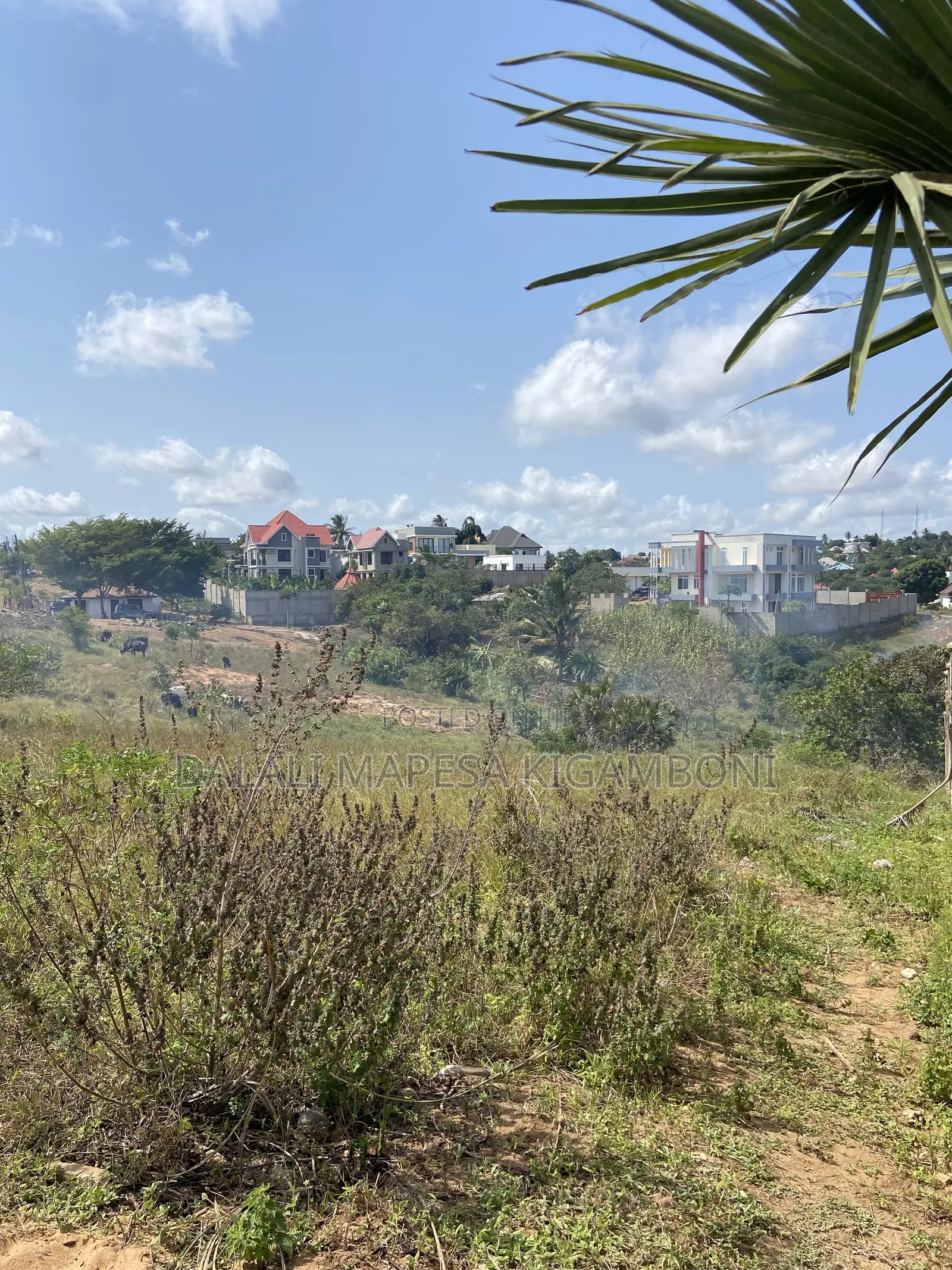 Plot for Sale Mikwambe Kigamboni