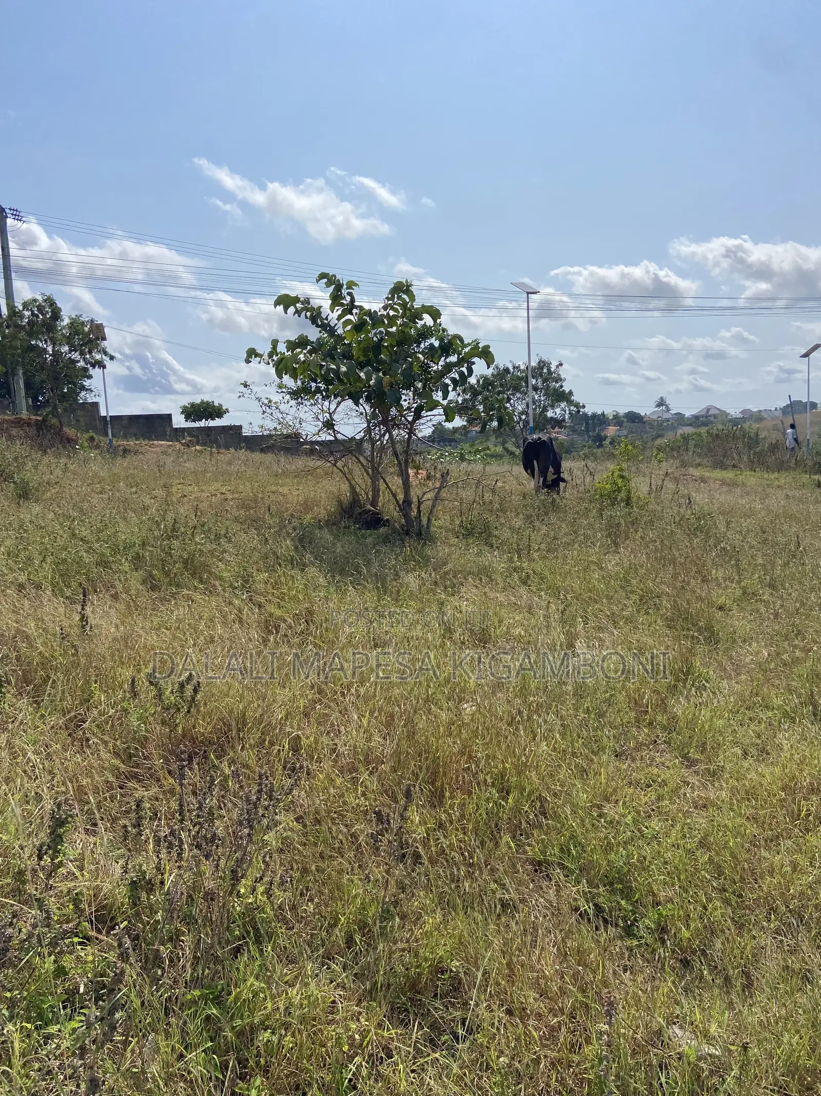 Plot for Sale Mikwambe Kigamboni