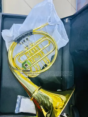 Gold Professional French Horn Suitable for Best Performance