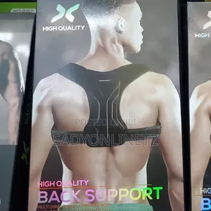 Adjustable Back Support