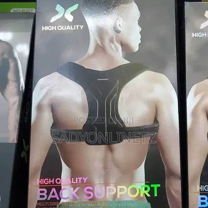 Adjustable Back Support
